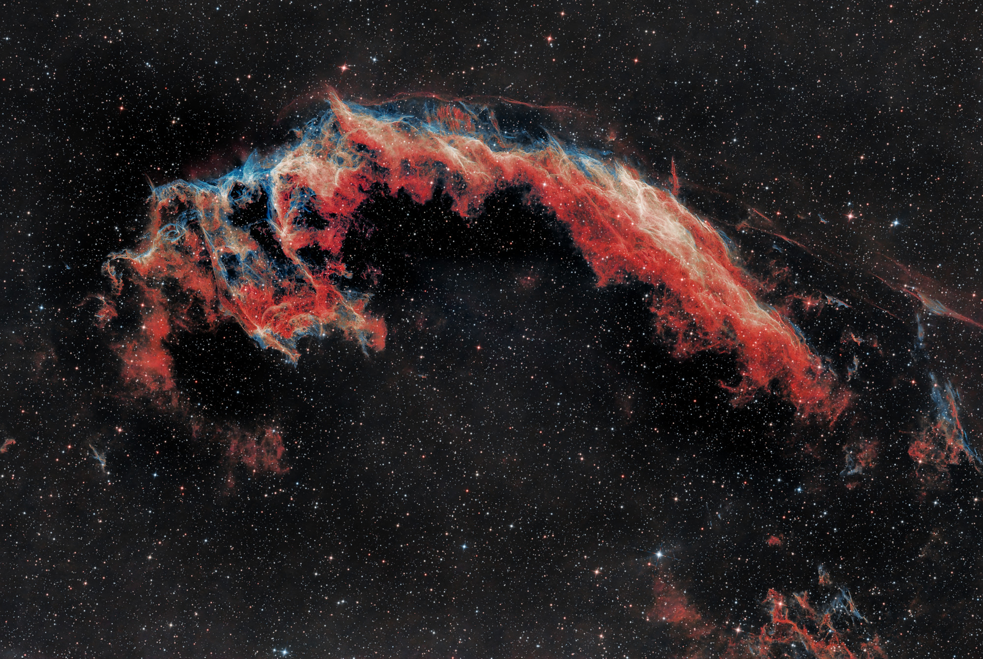 Im östlichsten Teil der Cygnus-Schleife ist eine Fledermaus zu sehen, die deshalb auch als Fledermausnebel NGC 6995 bezeichnet wird.